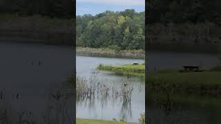 Ocmulgee WMA Fishing Area Hawkinsville Georgia [upl. by Wappes673]