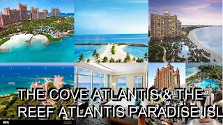 The Cove Atlantis amp The Reef Atlantis Paradise Island Bahamas [upl. by Eremahs937]