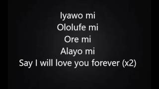 Timi Dakolo Iyawo mi lyrics [upl. by Birchard186]