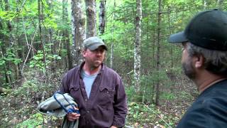 Maine Black Bear 3030 Hunt Oxbow Lodge [upl. by Hax]