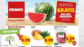 VOLANTINO PENNY Dal 14 al 25 agosto anteprima [upl. by Llenreb115]