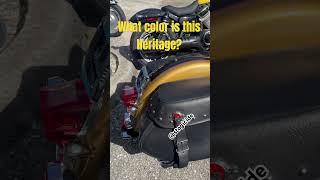 What color is this heritage Harley Trivia trivia viralvideos harleylifestyle motorcycle fyp [upl. by Nelav]