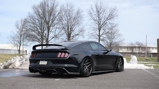 AWE S550 Mustang GT Touring Edition Catback Exhaust paired to catted LTHs [upl. by Sy]