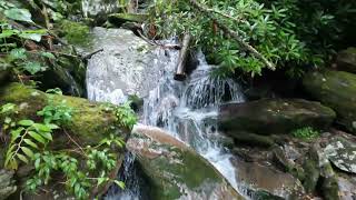 Rainbow Falls Great Smoky Mountains National Park [upl. by Gereron]