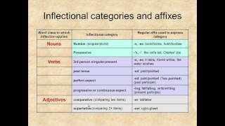 Lexicology Unit 10 Morphology [upl. by Mason]