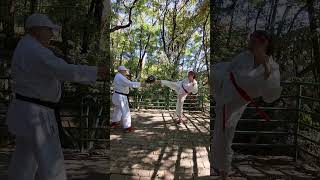 KARATEDO shorts martialarts selfdefense karate [upl. by Llehctim969]