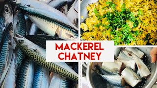 Fresh Mackerel from the seaMackerel Ranna RecipeMackerel Satnisea Fish Ranna Recipe [upl. by Treboh81]