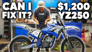 Seller Tried to Install a New Clutch on This YZ250 2 Stroke [upl. by Mowbray]