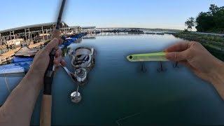 INSANE Hybrid Striped Bass Fishing  Topwater and Glide Baits  Skiatook Lake Oklahoma [upl. by Sharona634]