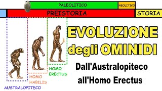 🐒➡🚶🏻‍♂️ LEVOLUZIONE DEGLI OMINIDI dallAustralopiteco allHomo Erectus 🔥 Storia Scuola Primaria [upl. by Llehsad]