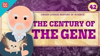 The Century of the Gene Crash Course History of Science 42 [upl. by Ky]