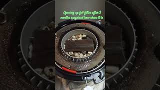 Opening up fx4 filter after 3 months fx4 fluvalfx4 cichlidtank fishhobbyist fishkeeping [upl. by Crotty]