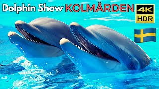 4K HOPE Dolphin Show Kolmården [upl. by Oicnerolf]