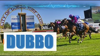 【DUBBO】AUSTRALIA HORSE RACE ANALYSIS [upl. by Lorelle224]