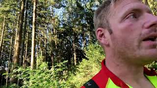 Forstreich Tr24 HD und Sk 50 mit Stihl 500i im Einsatz [upl. by Carree]