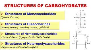 Structures of Carbohydrates  Structures of Monosaccharides Disaccharides and Polysaccharides [upl. by Luis474]