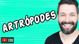 ARTRÓPODES  INTRODUÇÃO  ZOOLOGIA  Biologia com Samuel Cunha [upl. by Ledniahs]