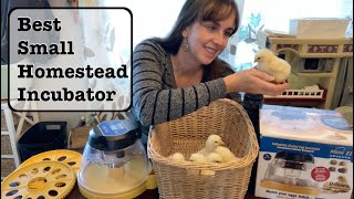 Hatching Chicken Eggs with Brinsea Mini II Advance Incubator  Full User Tutorial [upl. by Suedaht]