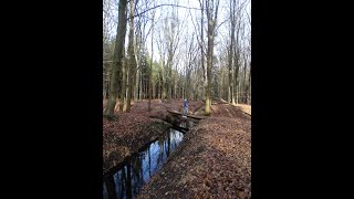 Pauperwandeltocht Norg WSV FLAL 40 km [upl. by Yttik]