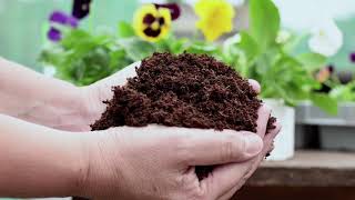 How to plant up containers with Coco amp Coirs Coco Boost [upl. by Sudnac]