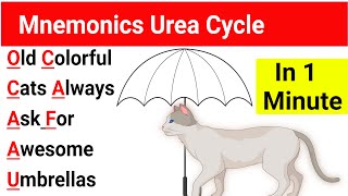 Mnemonic Urea Cycle  Urea Cycle Mnemonic USMLE  Urea Cycle Mnemonic  Urea Cycle trick [upl. by Keon]