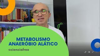 Metabolismo Anaeróbio Alático [upl. by Eicram]