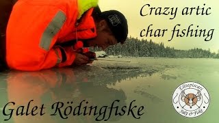 Galet Röding Fiske  Crazy Arctic Char Fishing [upl. by Sherry]