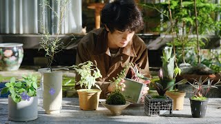 Relaxing Plant Care  Thoughtful plant amp pot pairings kokedama live moss [upl. by Anoiek77]