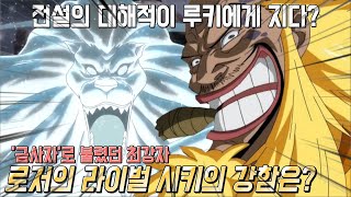 원피스 로저의 라이벌 금사자 시키의 강함과 말도 안되는 너프 [upl. by Adnilrev708]