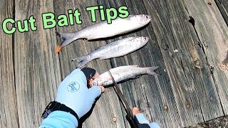 How to Cut Up Baitfish For More Redfish Snook Black Drum amp Tarpon [upl. by Nnaarat499]