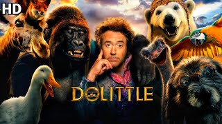 Dolittle Full Movie In Hindi Dubbed HD  New Hollywood Movie  Facts amp Review [upl. by Hesky]