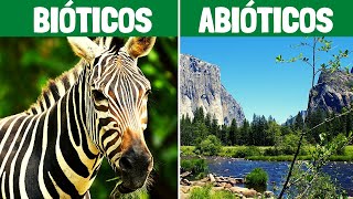 FACTORES BIÓTICOS y FACTORES ABIÓTICOS características y ejemplos🌎🌱 [upl. by Eiramnwad]