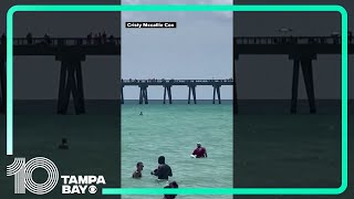 Shark spotted at Navarre Beach Florida sends people rushing out of water [upl. by Deena318]