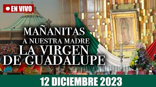 MAÑANITAS A LA VIRGEN DE GUADALUPE 2023  EN VIVO DESDE LA BASILICA EN MEXICO [upl. by Fishbein]