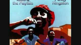 Toots amp The Maytals  Time Tough [upl. by Annaihr537]