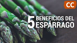 5 Beneficios de los Espárragos  Ciencia de la Comida [upl. by Bernardine]