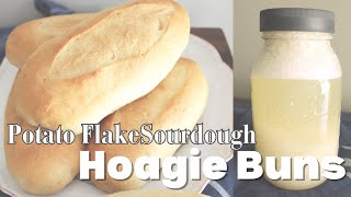 Potato Flake Starter Recipe Sourdough Hoagie Buns [upl. by Alyel]