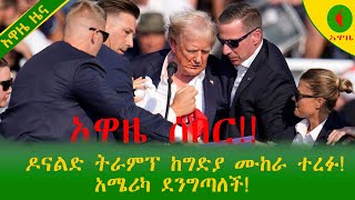 Alemneh Wasse አዋዜ ሰበር ዶናልድ ትራምፕ ከግድያ ሙከራ ተረፉአሜሪካ ደንግጣለች [upl. by Egdamlat]