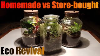 All Closed Terrariums Update  Homemade vs Storebought AND Eco Revival  What the fly [upl. by Notnerb]