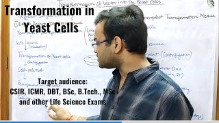 Transformation in Yeast Cells [upl. by Anhcar]