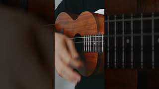 Kamaka HF48 8 String Baritone Ukulele Cover [upl. by Roban853]