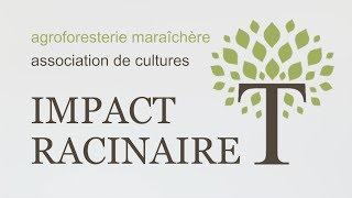 ASSOCIATION DE CULTURES  Impact Racinaire [upl. by Eppesuig]