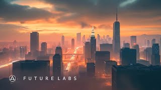 Smrs  Future Labs [upl. by Suoivatnom594]