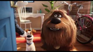 The Secret Life Of Pets in Sweden [upl. by Hanleigh]