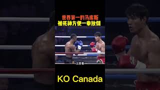 擂臺 中國拳王方便KO加拿大拳手 拳擊 拳王 格鬥 搏擊 boxing fighting [upl. by Reichel728]