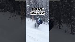 Polaris Khaos 9R Shreds Deep Snow‼️ snowmobile [upl. by Shurlock]