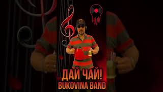 Дай Чай  BUKOVINA BAND [upl. by Eiznikcm694]