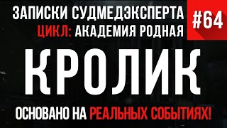 Записки Судмедэксперта 64 «Кролик в сметане» Академия родная [upl. by Annovad588]