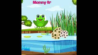 Silly School Songs  Life Cycle of a Frog learning shorts sciencefacts [upl. by Kowalski]