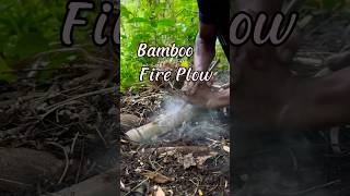 Fire plow in the interior forest firemaking [upl. by Mandelbaum]